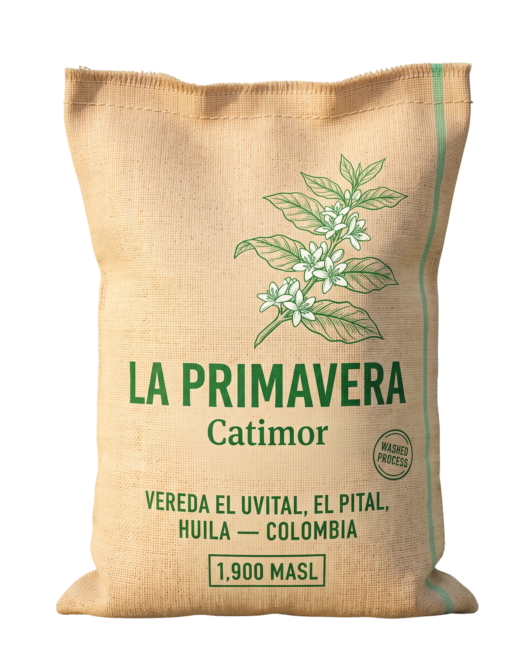 Finca La Primavera / Catimor