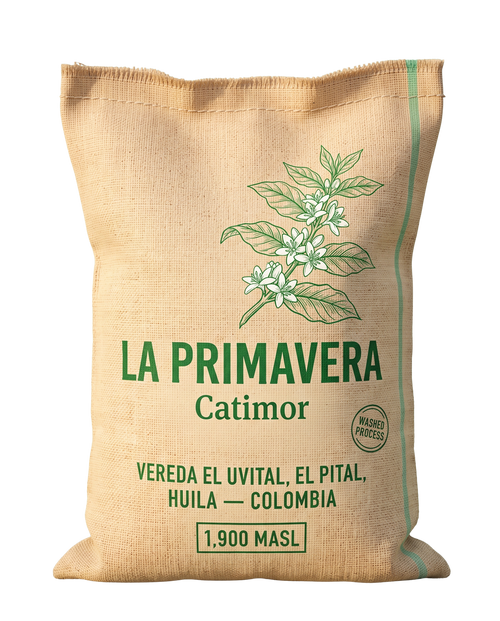 Finca La Primavera / Catimor