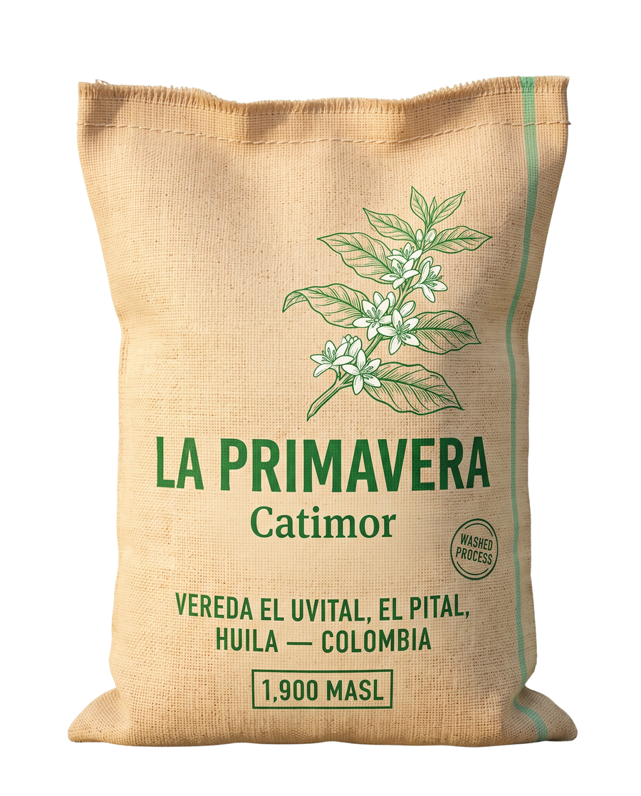 Finca La Primavera / Catimor