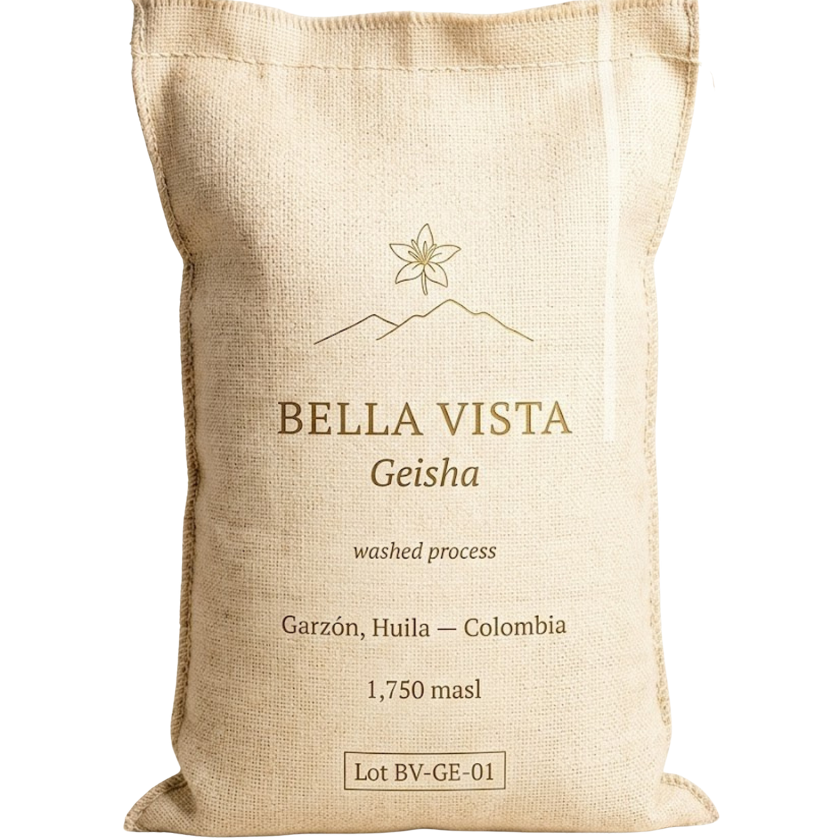 Bella Vista / Gesha